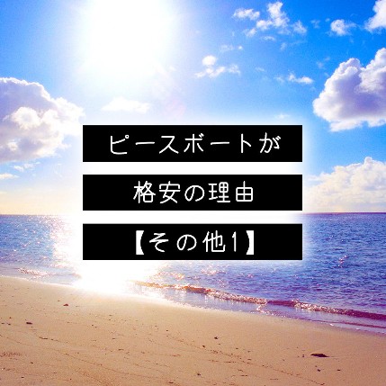 ピースボートが格安にする方法【その他１】